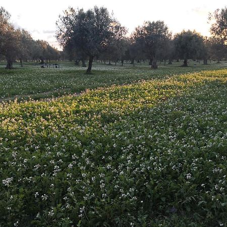 Bed and Breakfast Dimora Di Dante Chiaramonte Gulfi Exterior foto