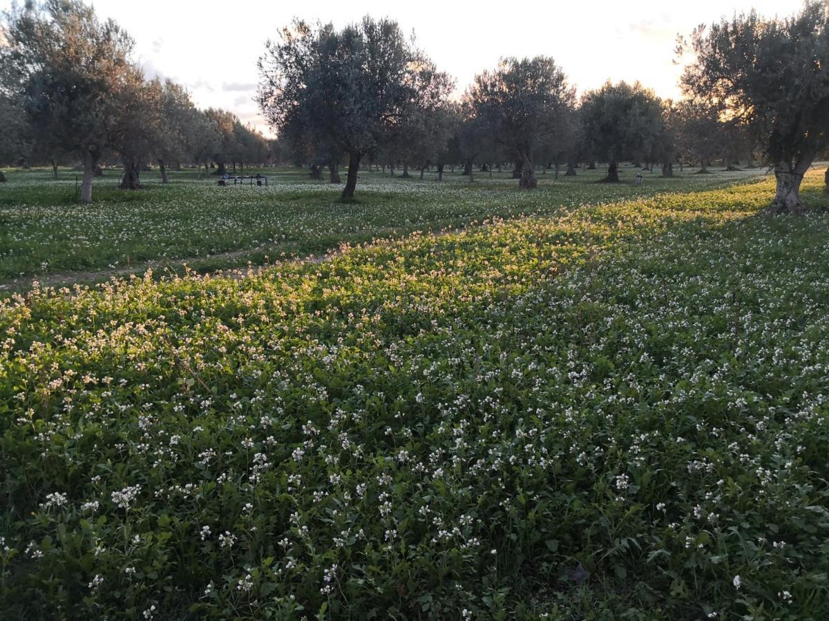 Bed and Breakfast Dimora Di Dante Chiaramonte Gulfi Exterior foto